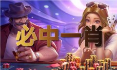 内部平码（中国）IOS版手机APP官网下载V